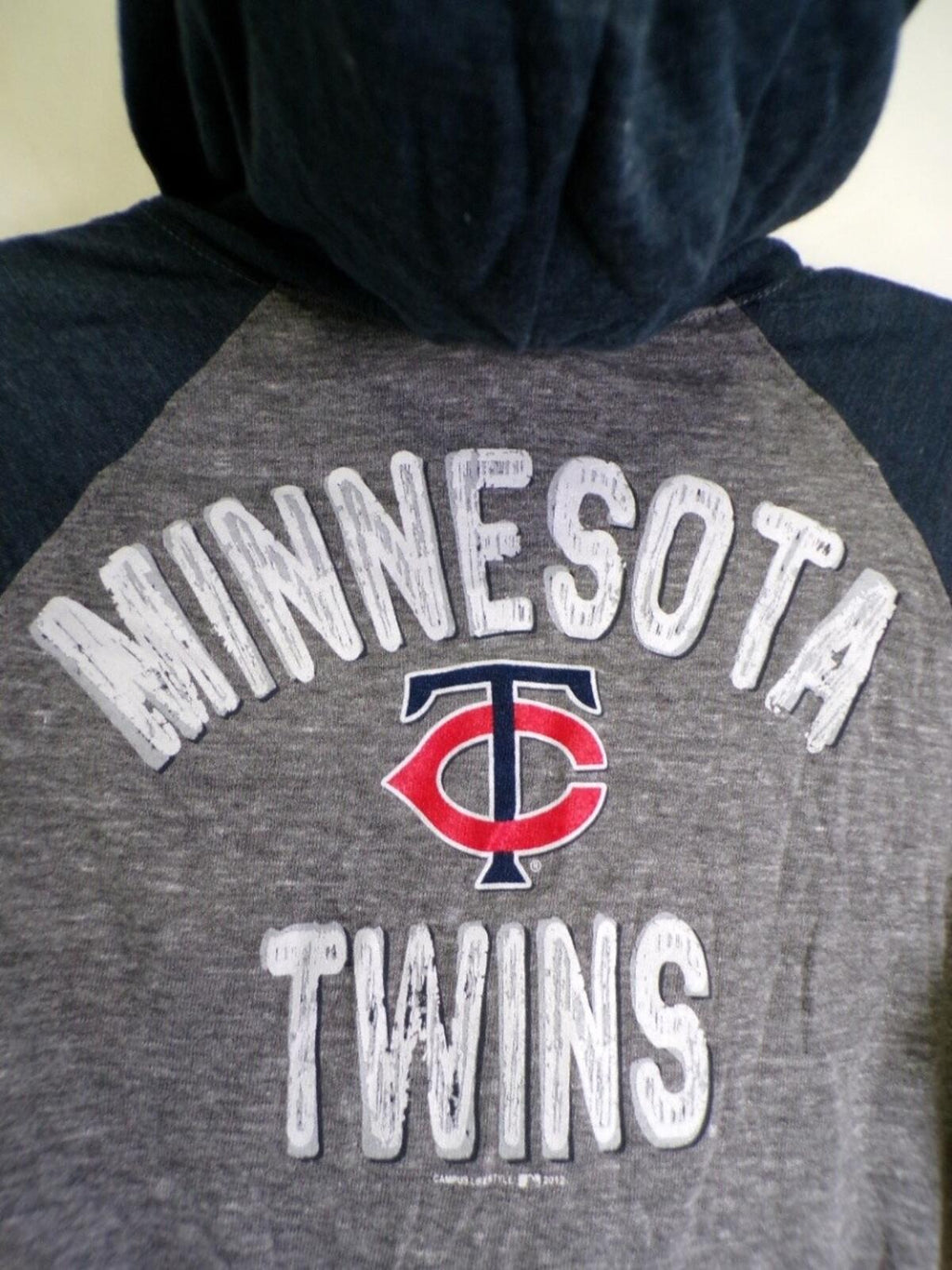 Campus Lifestyle Boys L Minnesota Twins Full Zip Hoodie Gray Navy
